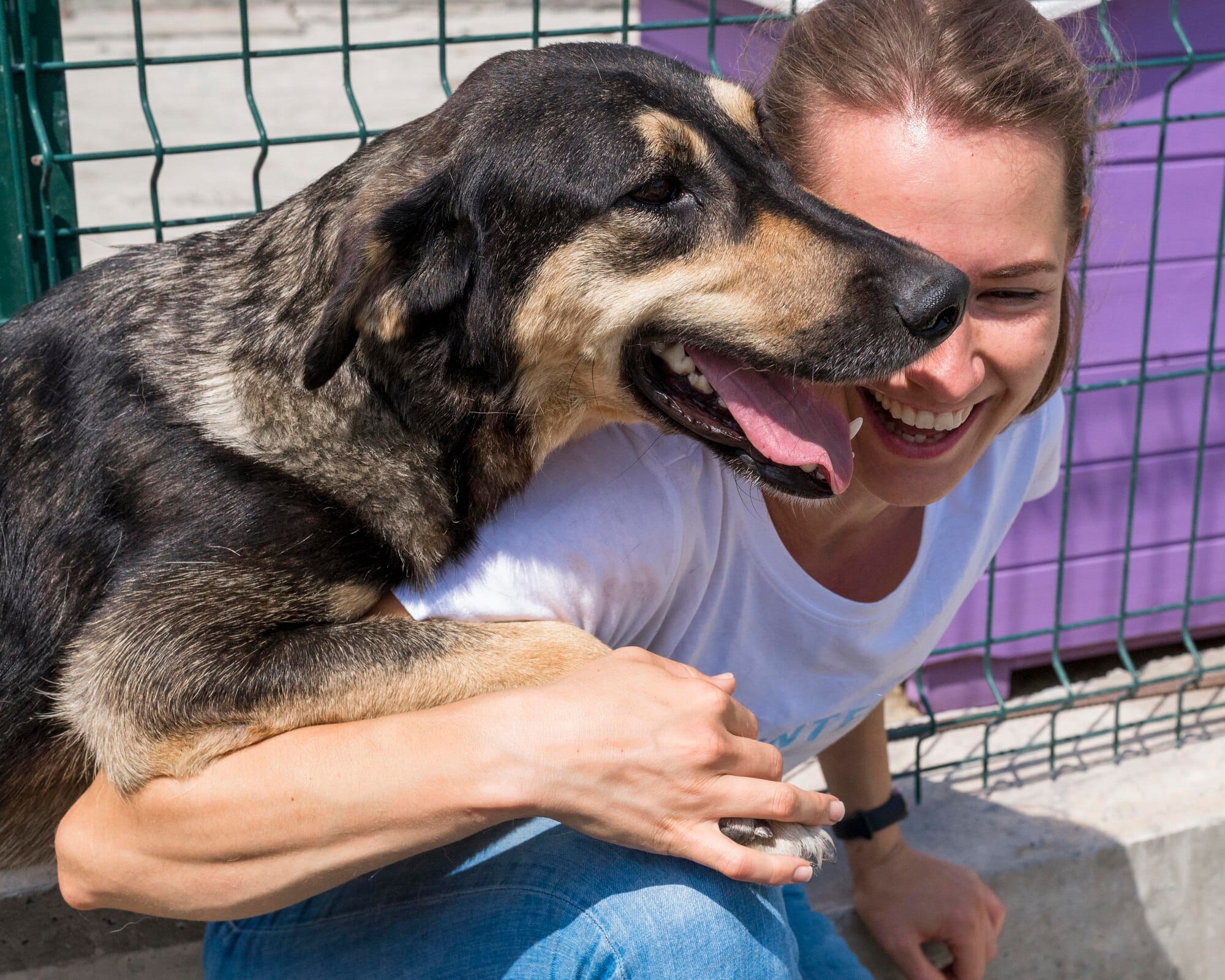 Hund im Tierheim spielt mit Pflegerin